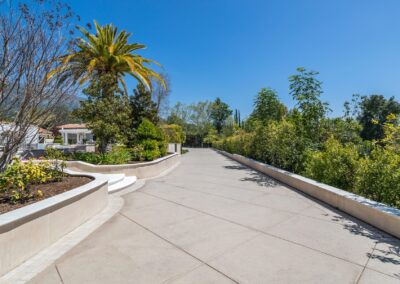 A wide concrete path lined with greenery and a palm tree under a clear blue sky.